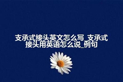 支承式接头英文怎么写_支承式接头用英语怎么说_例句