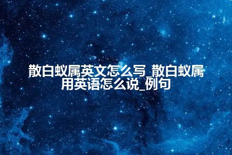 散白蚁属英文怎么写_散白蚁属用英语怎么说_例句