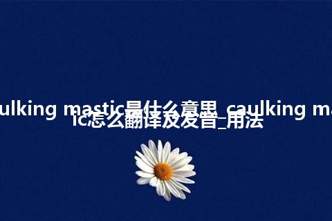 caulking mastic是什么意思_caulking mastic怎么翻译及发音_用法