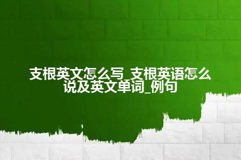 支根英文怎么写_支根英语怎么说及英文单词_例句