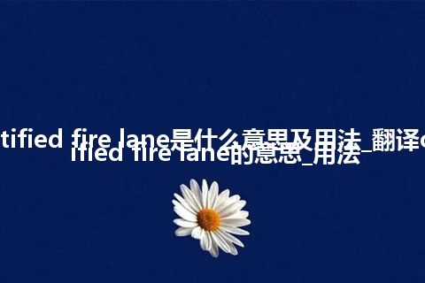 certified fire lane是什么意思及用法_翻译certified fire lane的意思_用法