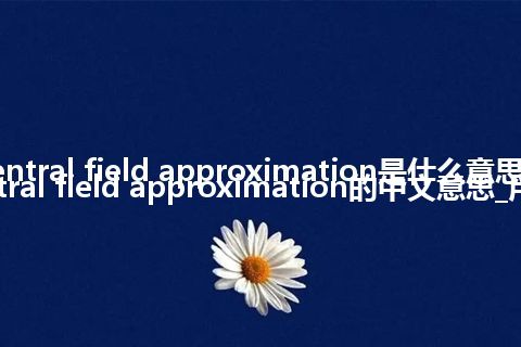 central field approximation是什么意思_central field approximation的中文意思_用法