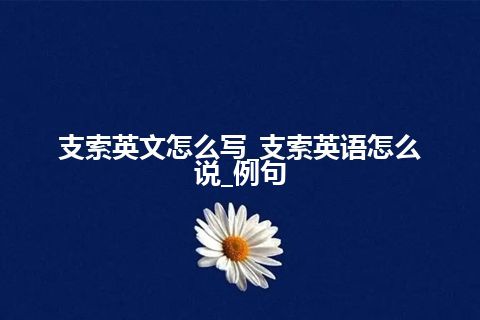 支索英文怎么写_支索英语怎么说_例句