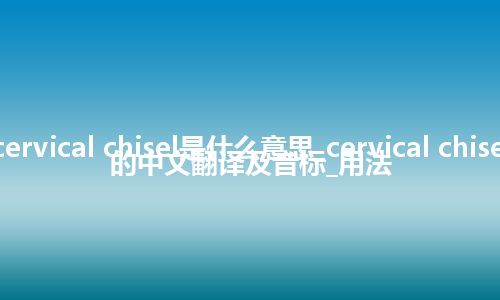 cervical chisel是什么意思_cervical chisel的中文翻译及音标_用法