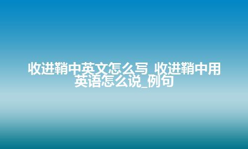 收进鞘中英文怎么写_收进鞘中用英语怎么说_例句