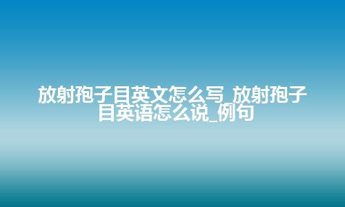 放射孢子目英文怎么写_放射孢子目英语怎么说_例句