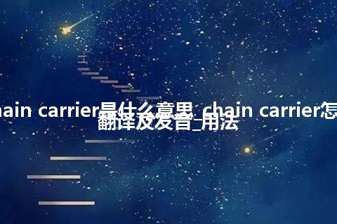 chain carrier是什么意思_chain carrier怎么翻译及发音_用法