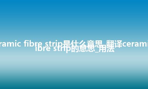 ceramic fibre strip是什么意思_翻译ceramic fibre strip的意思_用法