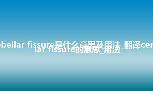 cerebellar fissure是什么意思及用法_翻译cerebellar fissure的意思_用法