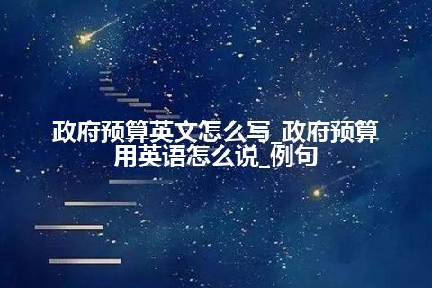 政府预算英文怎么写_政府预算用英语怎么说_例句