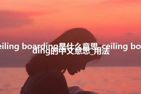 ceiling boarding是什么意思_ceiling boarding的中文意思_用法