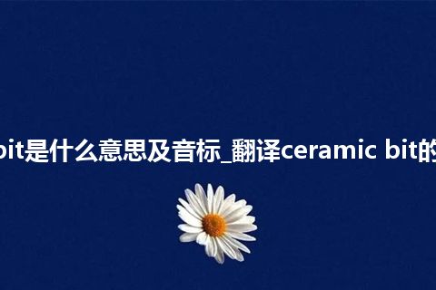 ceramic bit是什么意思及音标_翻译ceramic bit的意思_用法