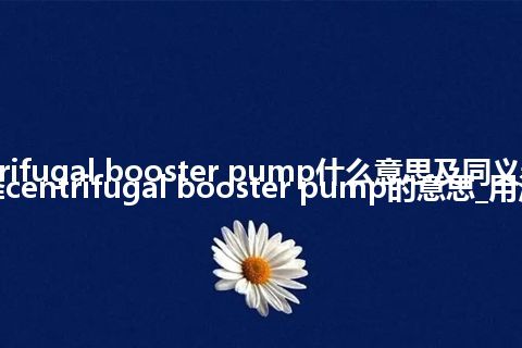 centrifugal booster pump什么意思及同义词_翻译centrifugal booster pump的意思_用法