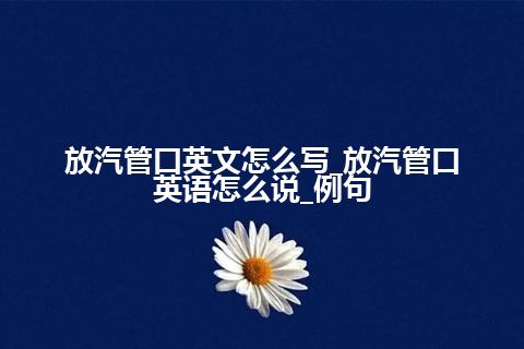 放汽管口英文怎么写_放汽管口英语怎么说_例句