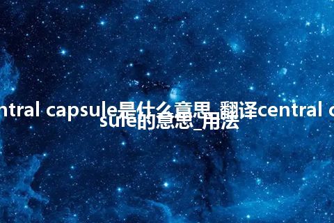 central capsule是什么意思_翻译central capsule的意思_用法