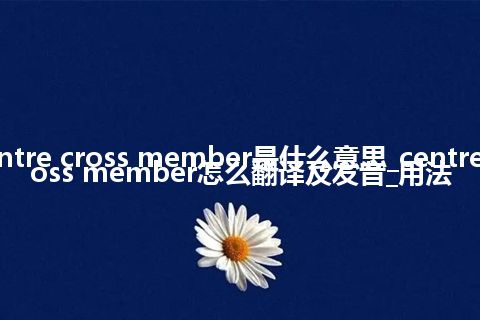 centre cross member是什么意思_centre cross member怎么翻译及发音_用法