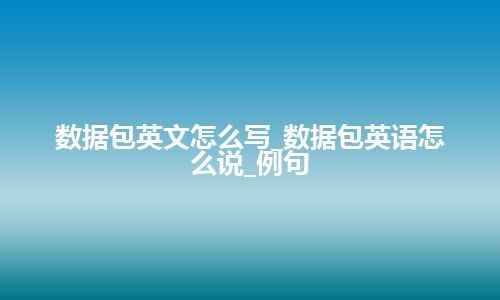 数据包英文怎么写_数据包英语怎么说_例句