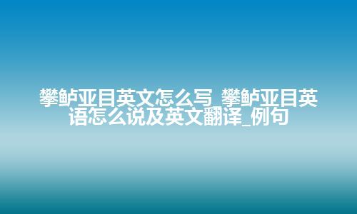 攀鲈亚目英文怎么写_攀鲈亚目英语怎么说及英文翻译_例句