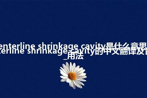 centerline shrinkage cavity是什么意思_centerline shrinkage cavity的中文翻译及音标_用法