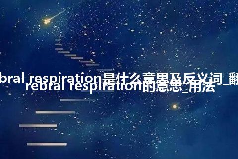 cerebral respiration是什么意思及反义词_翻译cerebral respiration的意思_用法