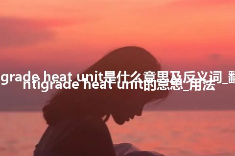 centigrade heat unit是什么意思及反义词_翻译centigrade heat unit的意思_用法