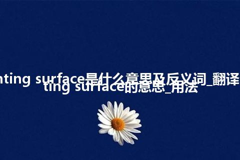 cementing surface是什么意思及反义词_翻译cementing surface的意思_用法