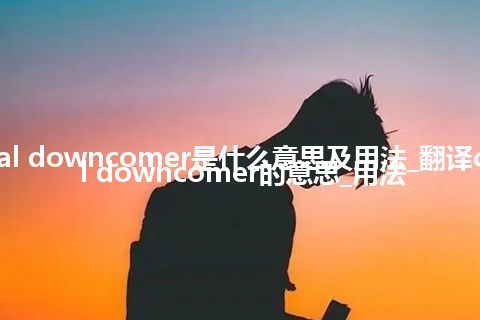 central downcomer是什么意思及用法_翻译central downcomer的意思_用法