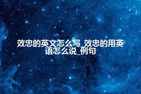 效忠的英文怎么写_效忠的用英语怎么说_例句