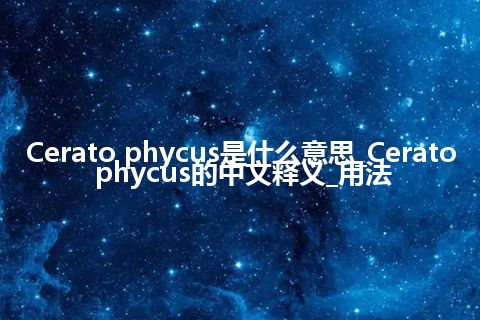 Cerato phycus是什么意思_Cerato phycus的中文释义_用法