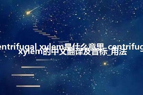 centrifugal xylem是什么意思_centrifugal xylem的中文翻译及音标_用法