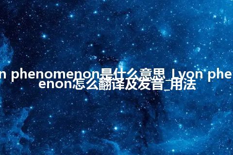 Lyon phenomenon是什么意思_Lyon phenomenon怎么翻译及发音_用法