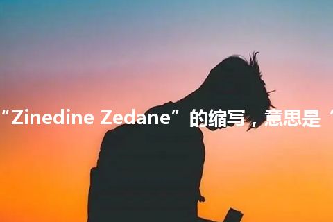 “ZZ”是“Zinedine Zedane”的缩写，意思是“齐尼丁-泽丹”