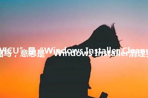 “WICU”是“Windows Installer Cleanup Utility”的缩写，意思是“Windows Installer清理实用程序”