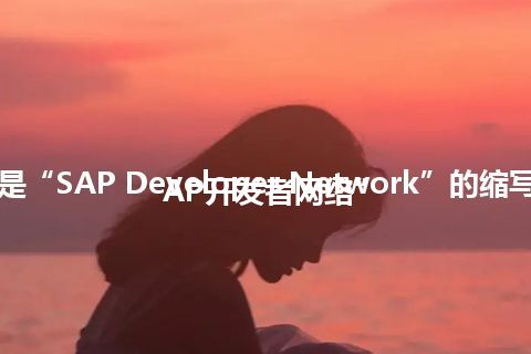 “SDN”是“SAP Developer Network”的缩写，意思是“SAP开发者网络”