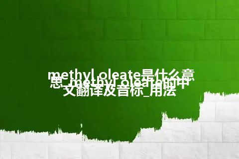 methyl oleate是什么意思_methyl oleate的中文翻译及音标_用法