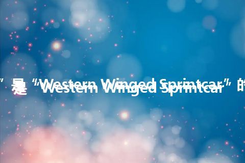 “WWS”是“Western Winged Sprintcar”的缩写，意思是“Western Winged Sprintcar”