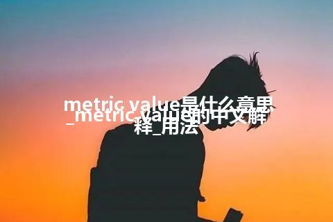 metric value是什么意思_metric value的中文解释_用法