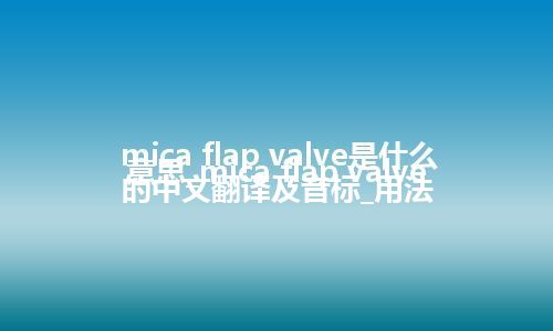 mica flap valve是什么意思_mica flap valve的中文翻译及音标_用法