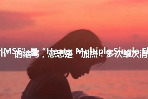 “HMSE”是“Heats: Multiple Single Elimination”的缩写，意思是“加热：多次单次消除”