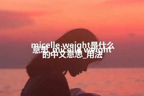 micelle weight是什么意思_micelle weight的中文意思_用法