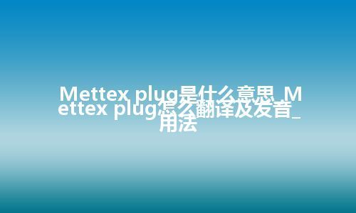 Mettex plug是什么意思_Mettex plug怎么翻译及发音_用法