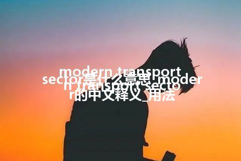 modern transport sector是什么意思_modern transport sector的中文释义_用法