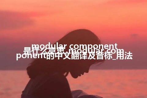 modular component是什么意思_modular component的中文翻译及音标_用法