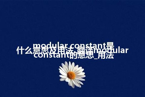 modular constant是什么意思及用法_翻译modular constant的意思_用法