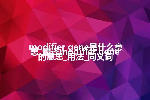 modifier gene是什么意思_翻译modifier gene的意思_用法_同义词