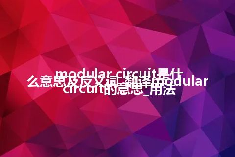 modular circuit是什么意思及反义词_翻译modular circuit的意思_用法