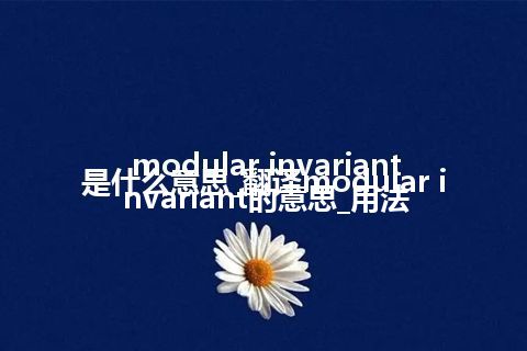 modular invariant是什么意思_翻译modular invariant的意思_用法