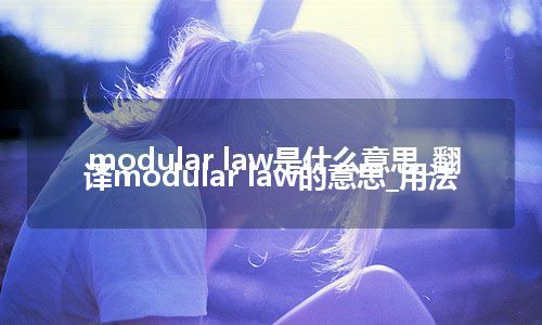 modular law是什么意思_翻译modular law的意思_用法