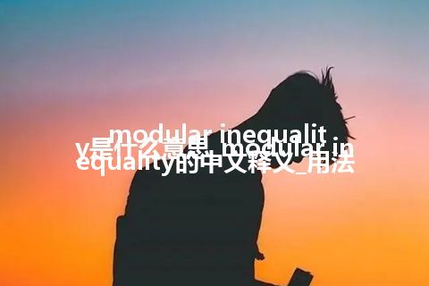 modular inequality是什么意思_modular inequality的中文释义_用法