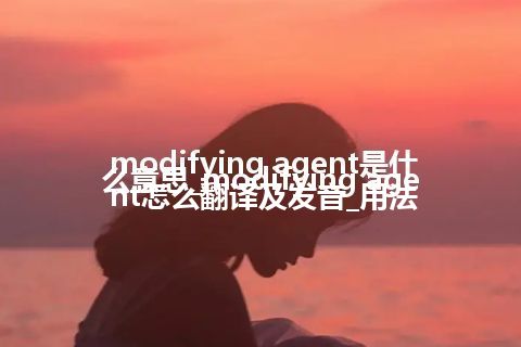 modifying agent是什么意思_modifying agent怎么翻译及发音_用法